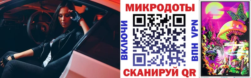 Псилоцибиновые грибы мицелий  hydra маркетплейс  Канаш  купить  сайты 